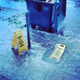 Illustration for article titled RAIN! Or, Just Another Day In The Tropics.
